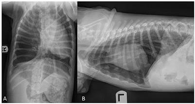 Case report: Treatment of congenital lobar emphysema with lung lobectomy in a puppy